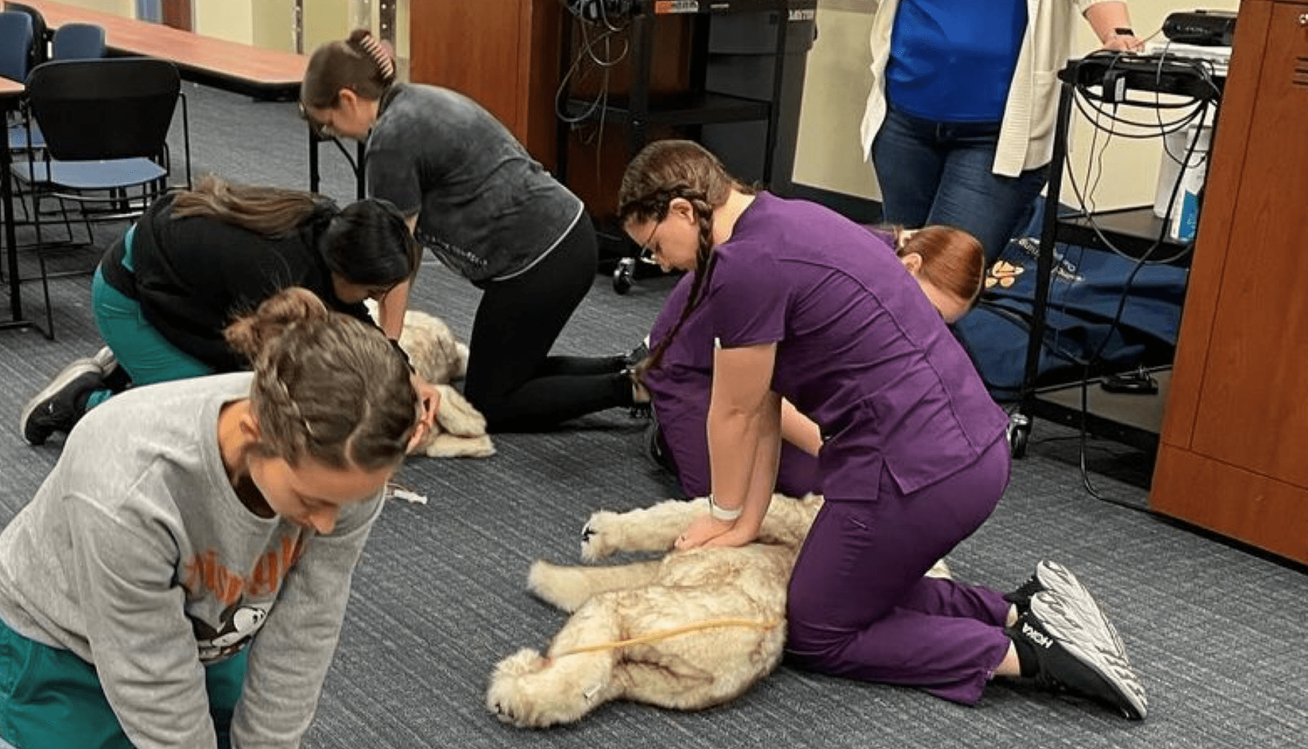 Veterinary Students Learn Lifesaving Skills during RECOVER BLS & ALS